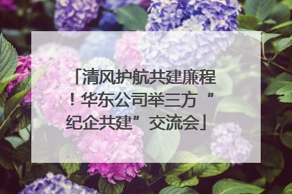清风护航共建廉程！华东公司举三方“纪企共建”交流会
